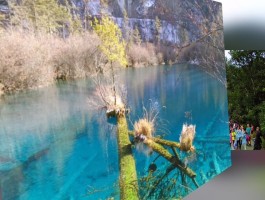 包含人间天堂九寨沟旅行日记的词条