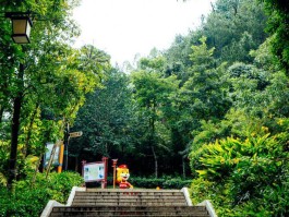 神光山(神光山在哪里)