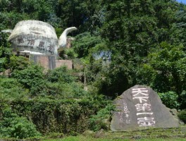 雅安蒙顶山(雅安蒙顶山茶叶简介)