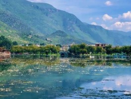 鹤庆最值得旅行的地方(鹤庆最值得旅行的地方是哪里)