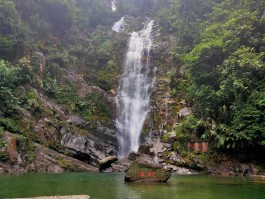 鼎湖山旅游(鼎湖山旅游文案)