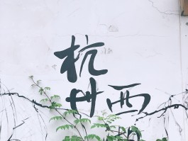 杭州旅游美食知乎(杭州旅游攻略吃货大全)