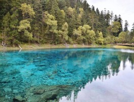 九寨自驾旅行全方位攻略(九寨自驾旅行全方位攻略图)