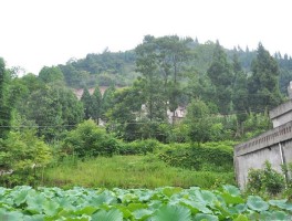 四川南充是不是很穷(四川南充是不是很穷人)