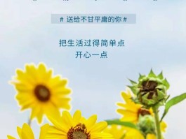 求人不如求己怎么发朋友圈(求人不如求己,靠谁都不如靠自己)