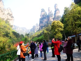 2020年期间春节去哪里旅游(2020年期间春节去哪里旅游最好)