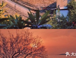 夏日秋天的第一场旅行玩乐记录(夏日秋天的第一场旅行玩乐记录说说)
