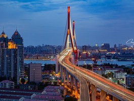 杨浦大桥(杨浦大桥建于哪一年)