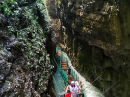 重庆黑山谷(重庆黑山谷门票价格)
