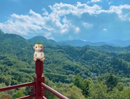 天水景点(天水景点地图)