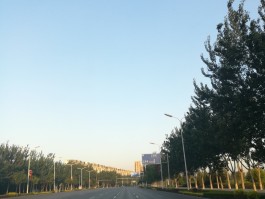 包含松洲街道丽景北街的词条