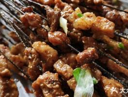 烧烤很脆的猪肉是什么品种(烧烤很脆的猪肉是什么品种的)