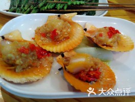 平时烧烤扇贝是什么品种(平时烧烤扇贝是什么品种好吃)