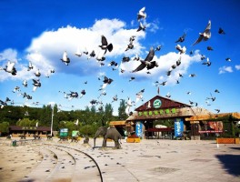 沈阳10月份去哪里旅游(沈阳十月份旅游)