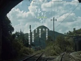 路边野餐(路边野餐电影)