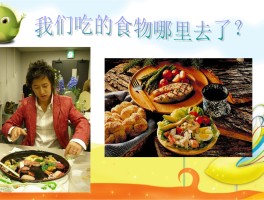 大班食物旅行记观察记录(大班食物旅行记观察记录及反思)