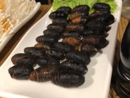 东北烧烤的茧蛹是什么品种(东北烧烤的茧蛹是什么品种图片)