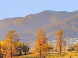 说走就走的旅行心语(说走就走的旅行去哪里合适)