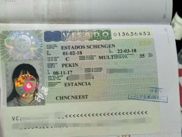 匈牙利旅游签证(匈牙利旅游签证好办吗)