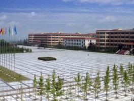 西安西京大学(西安西京大学录取分数线2023)