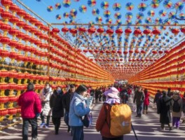 2023年春节去北京哪里旅游比较好呢(2023年春节去北京哪里旅游比较好呢英语)