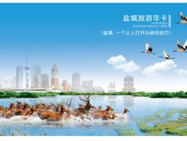 盐城旅游景点大全(盐城旅游景点大全排名 榜单)