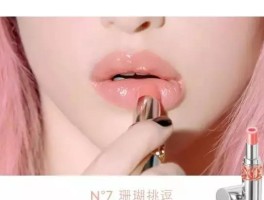欲望回声(欲望回声2攻略顺序操作)