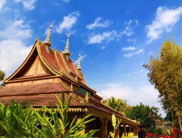 西双版纳旅游多少钱(过年西双版纳旅游多少钱)