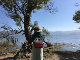 旅行自拍拍照技巧图解(旅行自拍照配文字 简短)
