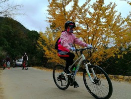 骑自行车旅游攻略路线图片(骑自行车旅游需要注意和准备什么)