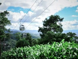 普洱旅游(普洱旅游景点有哪些)