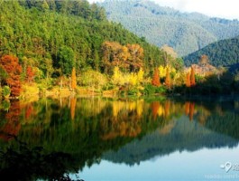 南雄景点(南雄景点十大旅游景点)