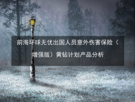 环球旅行意外险(环球游境外旅行保险)