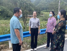 栾川旅游再创新记录(栾川旅游再创新记录公示)