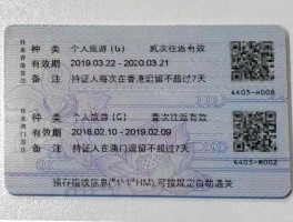 旅行证回国无入境记录几种情况(旅行证回国无入境记录几种情况怎么办)