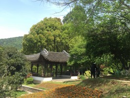 虞山公园(虞山公园作文400字)