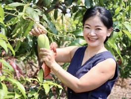 小芒果的2019旅行记录(小芒果文化娱乐经纪有限公司)