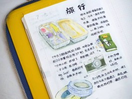 手绘旅行上海迪士尼日记(去上海迪士尼日记200字)