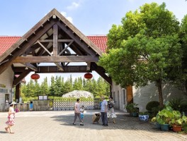 奉贤海湾国家森林公园(奉贤海湾国家森林公园天气)