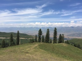 去那拉提的旅游日记(去那拉提旅游需要准备什么)