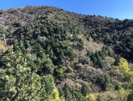 西山森林公园(西山森林公园景点介绍)