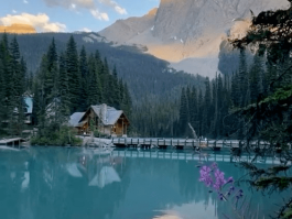世界有什么美景(世界有什么美景作文)