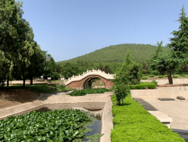 沂南县旅游胜地去哪里(沂南县旅游胜地去哪里了)