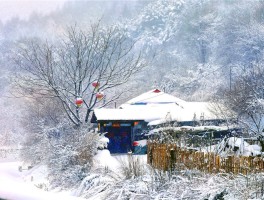 甘肃平凉冰雪世界美景图片(甘肃平凉冰雪世界美景图片大全)