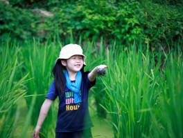 往返需要12小时的乡村旅行记录的简单介绍