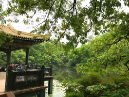 流徽榭(流徽榭在哪个景区)
