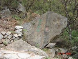 鹫峰森林公园(鹫峰森林公园门票)