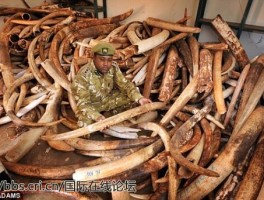 旅游2023年喀麦隆近期展览会(旅游2023年喀麦隆近期展览会时间表)
