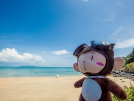 两大两小适合去哪里旅游(两大两小适合去哪里旅游,广东省内,两日)