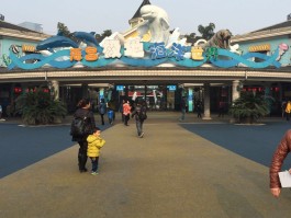 成都海洋极地公园(成都海洋极地公园游玩攻略)